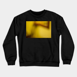 Color Play #2 Crewneck Sweatshirt